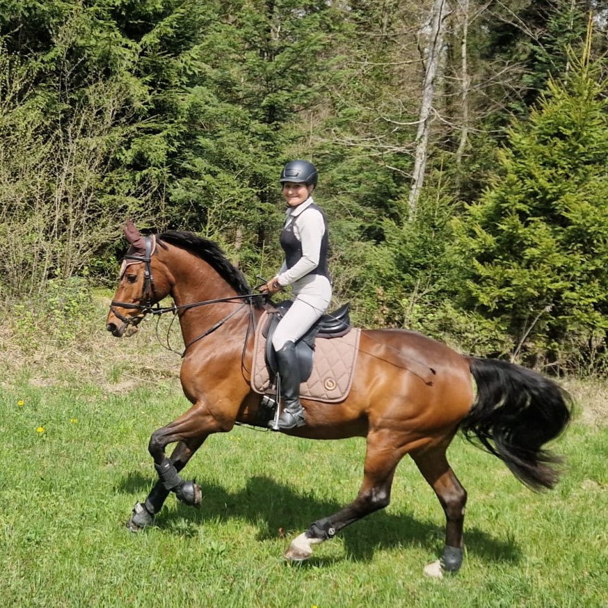 ae&p versicherung dressurreiten, Pferdesport Schweiz, Jolanda-Eggenberger